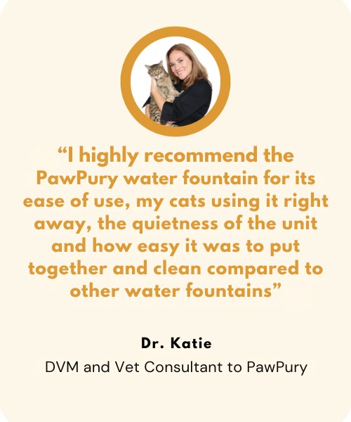 The PawPury™ Wireless Fountain
