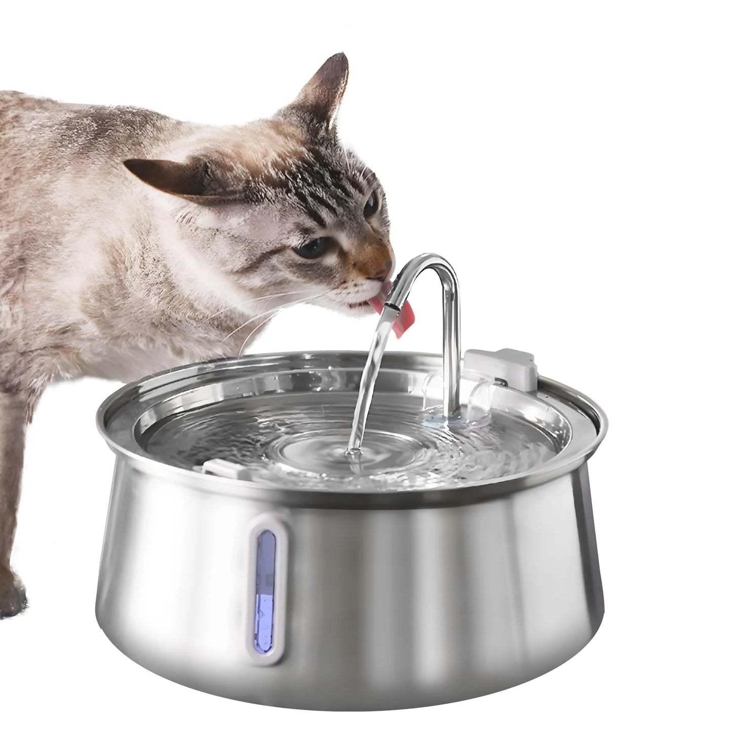 The PawPury™ Fountain New Version