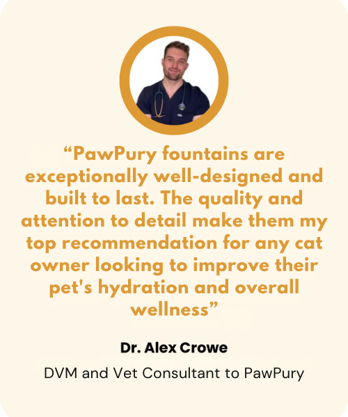 The PawPury™ Wireless Fountain