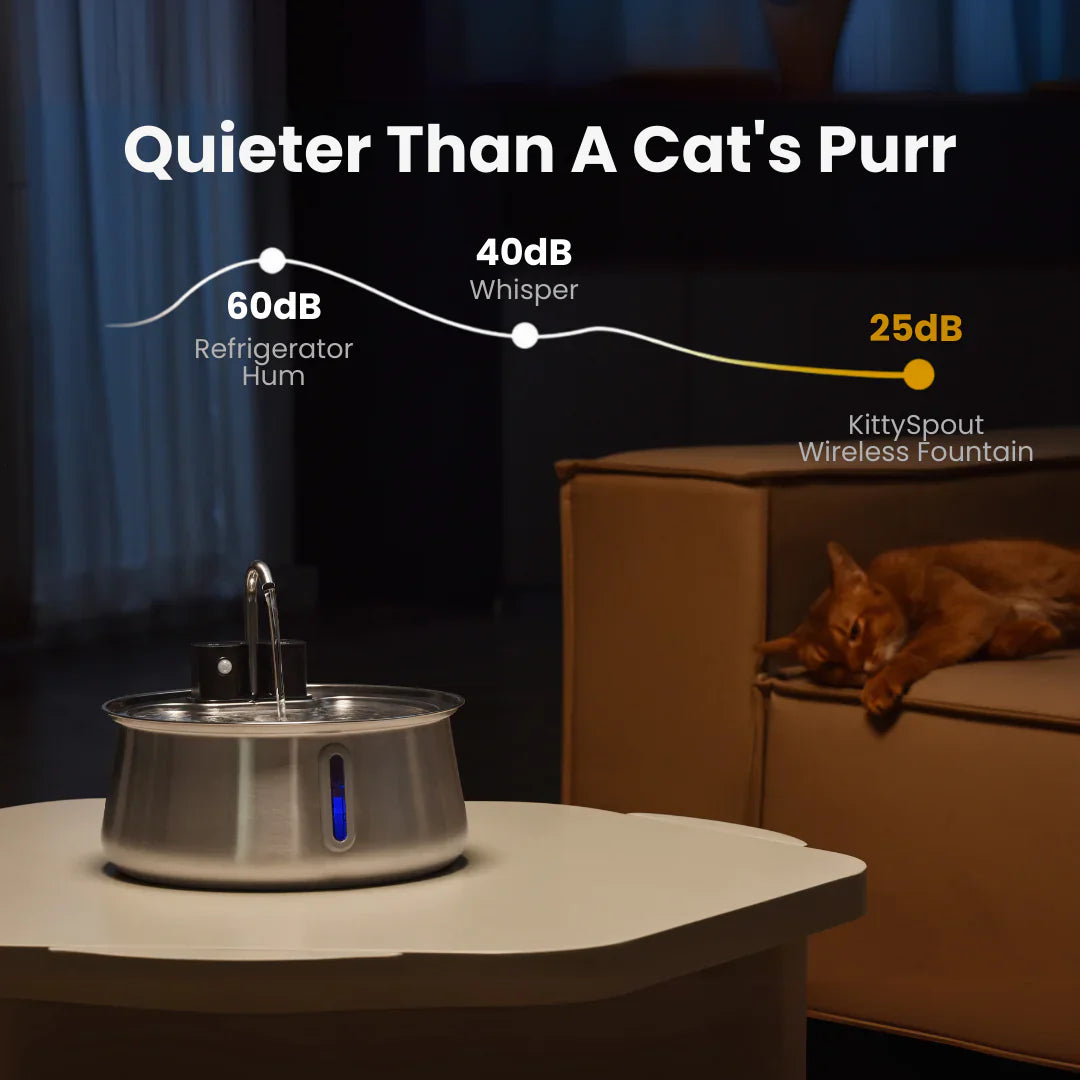 The PawPury™ Fountain New Version