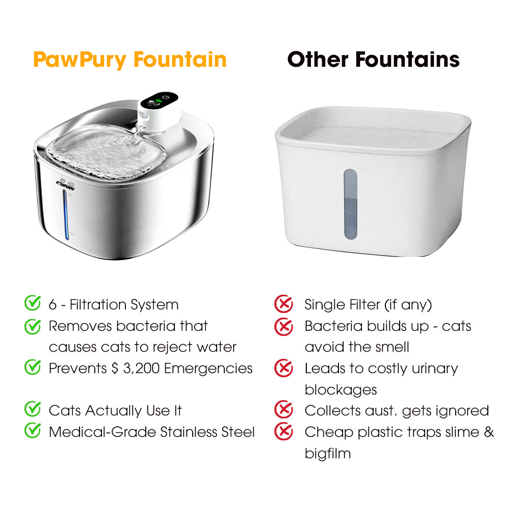 The PawPury™ Wireless Fountain