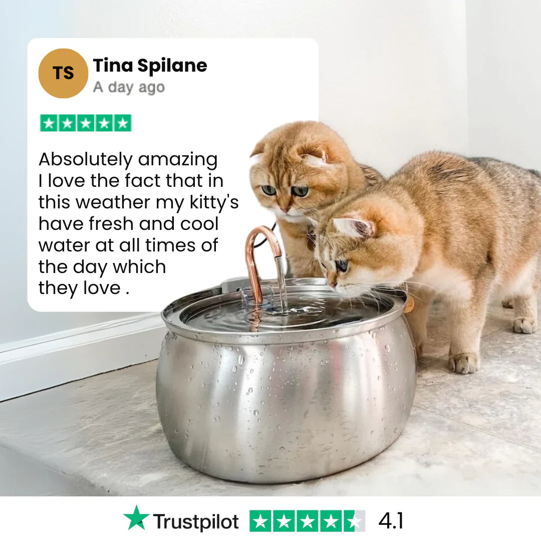 The PawPury™ Health & Happiness Cat Kit