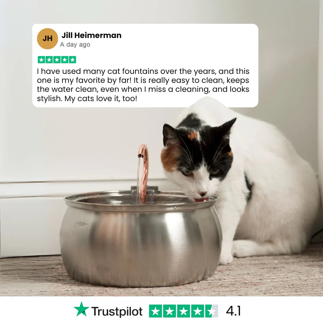 The PawPury™ Health & Happiness Cat Kit