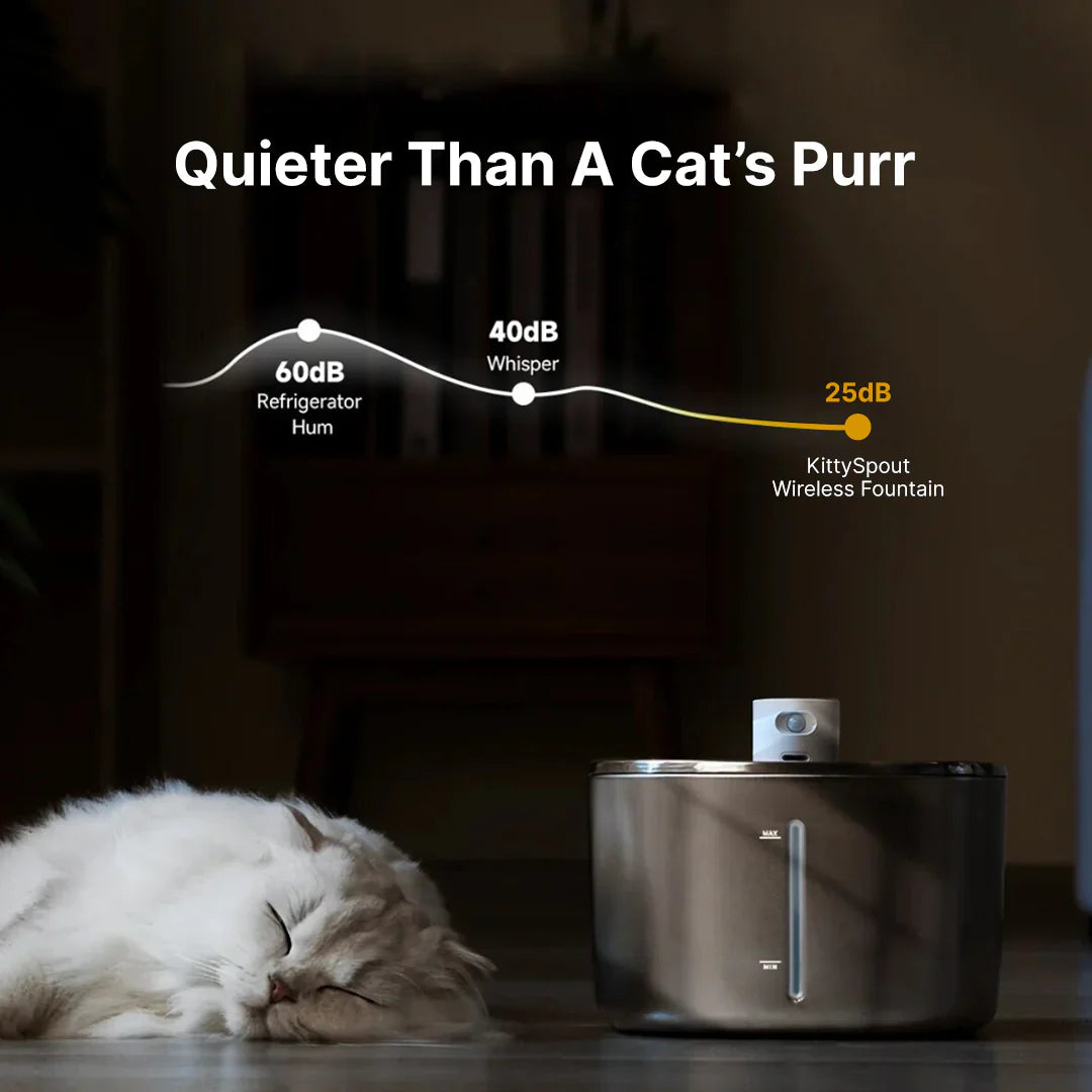 The PawPury™ Value Bundle