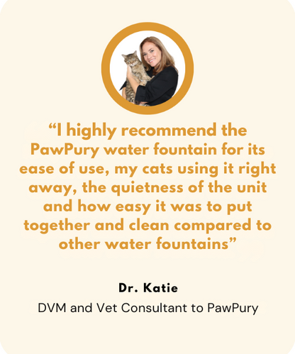 The PawPury™ Luxury Wireless Fountain