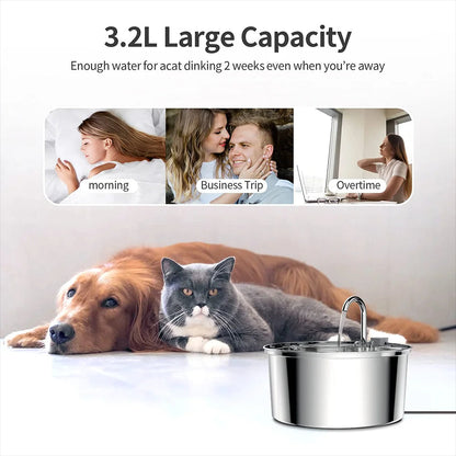 The PawPury™ Fountain For Cat Dog
