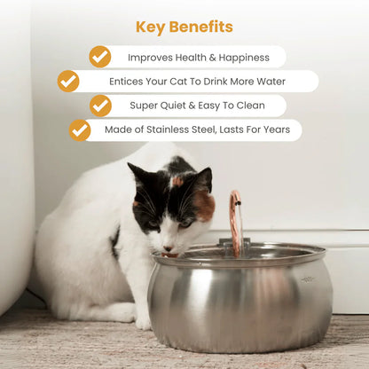 The PawPury™ Health & Happiness Cat Kit