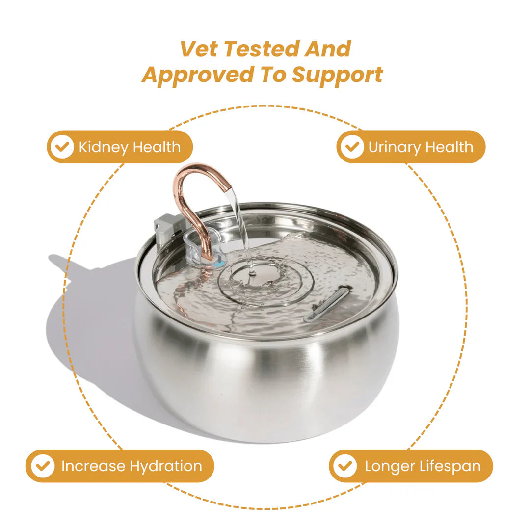 The PawPury™ Health & Happiness Cat Kit