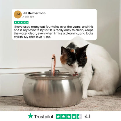 The PawPury™ Health & Happiness Cat Kit